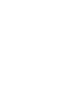Team Saudi